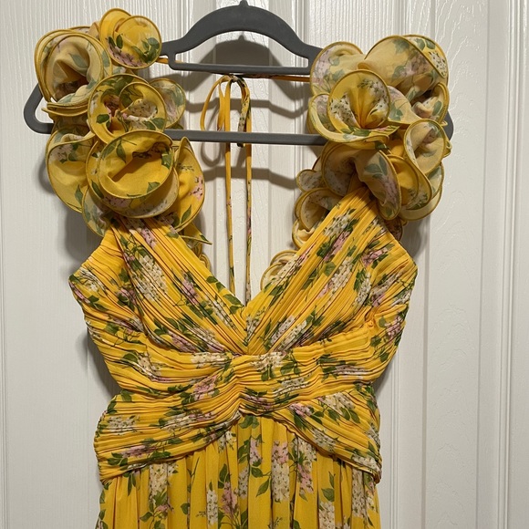 NWT ANTONIO MELANI
Manila Floral Print Rosette
Sleeveless V-Neck Maxi Dress - Picture 4 of 6